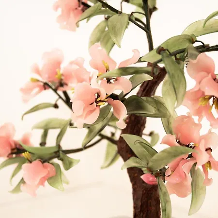 Couette-café Trulli Donna Isabella 2 *