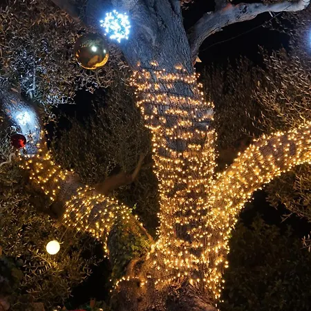 Trulli Donna Isabella 2 * Locorotondo